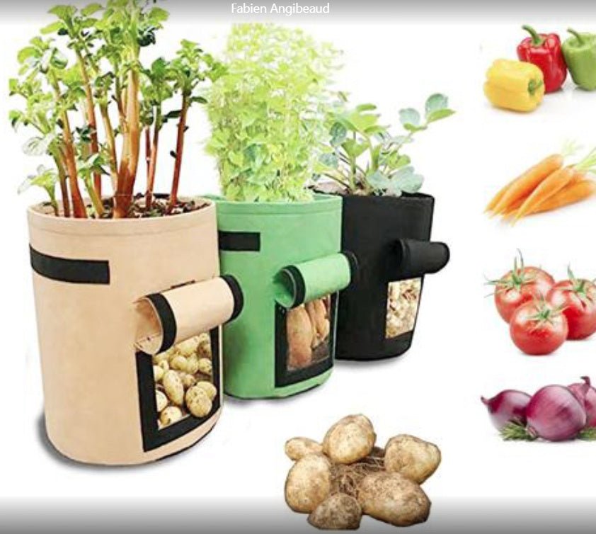 KitchenEssentials KitchenGadgets KitchenTools HomeKitchen CookingTools KitchenAccessories Cookware KitchenStorage KitchenOrganization SmartKitchen CookingAccessories HomeEssential